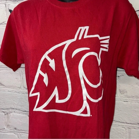Champion WSU cougars small - Picture 2 of 2